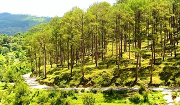 Memorable 6 Days Delhi to Kausani Vacation Package