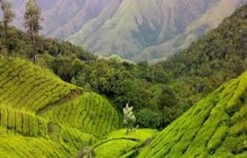 Heart-warming 7 Days 6 Nights Nainital Trip Package