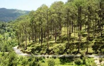 Experience 5 Days Haldwani Family Trip Package