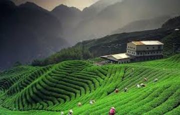 Best 10 Days 9 Nights Corbett Vacation Package