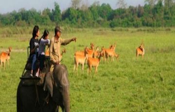 7 Days Guwahti njp station  airport to Guwahati Holiday Package