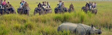 3 Days 2 Nights Guwahati to Kaziranga National Park Vacation Package