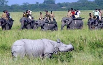 5 Days 4 Nights Shillong, Guwahati with Kaziranga National Park River Vacation Package