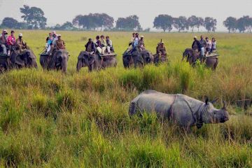 Magical 5 Days Guwahati to Kaziranga National Park Luxury Vacation Package