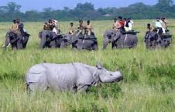 2 Days 1 Night Shillong with Kaziranga Lake Trip Package
