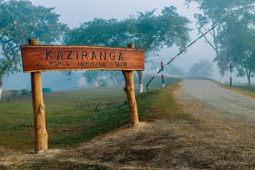 KAZIRANGA "THE WORLD HERITAGE SITE"
