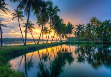 7 Days Kochi, Munnar, Alleppey with Kovalam Trip Package