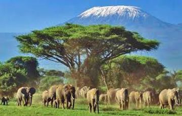 Ecstatic 5 Days 4 Nights Nairobi with Nakuru Vacation Package