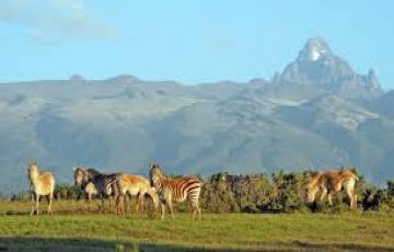 Ecstatic 5 Days 4 Nights Nairobi with Nakuru Vacation Package