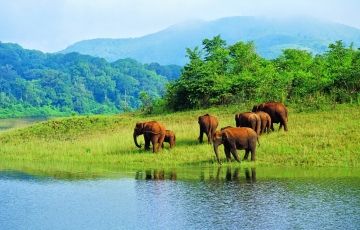 Experience 6 Days 5 Nights Munnar Vacation Package