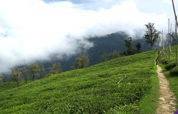 5 Days Kochi to Alleppey Holiday Package