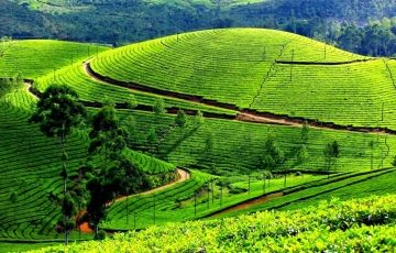 Kerala Family tour package