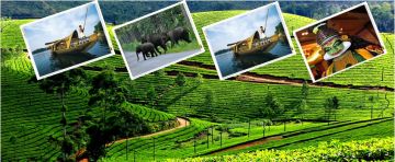 Beautiful 5 Days Ernakulam to Alleppey Honeymoon Holiday Package