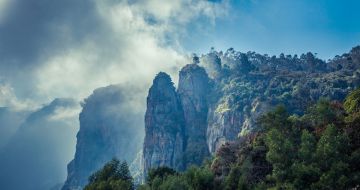 Beautiful 5 Days Delhi to Kodaikanal Hill Stations Trip Package