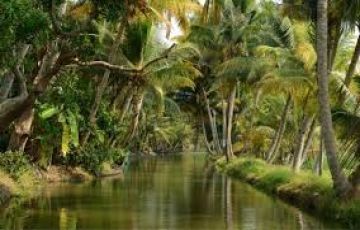 Ecstatic 6 Days 5 Nights Munnar Wildlife Holiday Package