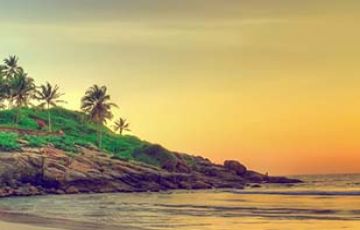 5 Days 4 Nights Munnar, Thekkady and Alleppey Romantic Trip Package