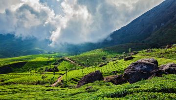 5 Days Munnar, Thekkady with Alleppey Offbeat Holiday Package