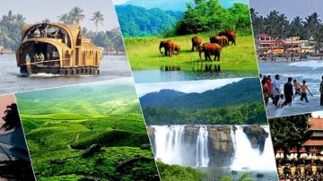Ecstatic Munnar Honeymoon Tour Package for 6 Days