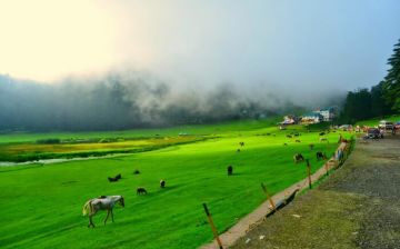 Magical 3 Days McLeod Ganj Friends Trip Package