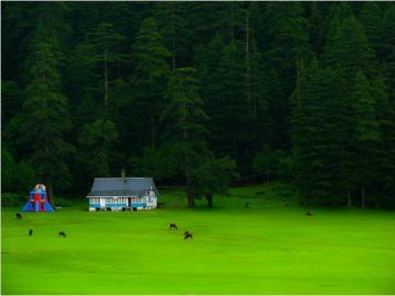Magical 7 Days Pathankot to Chamba Offbeat Holiday Package