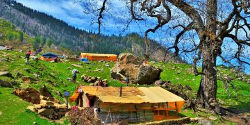 Family Getaway 4 Days 3 Nights Kasol with Tosh Vacation Package