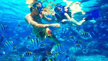 8 Days 7 Nights Port Blair to Snorkeling at Elephant Beach Holiday Package
