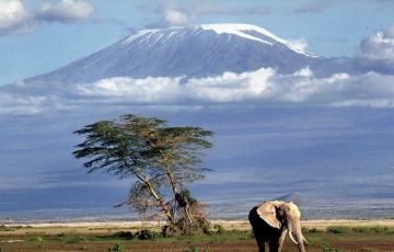 Experience 12 Days 11 Nights Masai Mara Wildlife Holiday Package