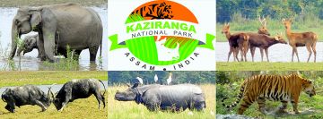 Magical Cherrapunjee Tour Package for 7 Days 6 Nights from Guwahati