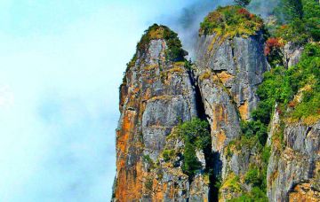 Beautiful 7 Days Bangalore, Karnataka, India to Kodaikanal Holiday Package