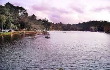 Magical 8 Days Ooty Kodaikanal Munnar Lake Holiday Package