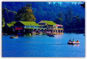 Magical 5 Days Coimbatore to Munnar Romantic Tour Package
