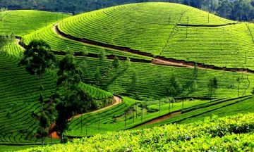 Beautiful 5 Days Delhi to Kodaikanal Hill Stations Trip Package