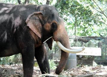 Ecstatic 5 Days 4 Nights Thekkady Hill Stations Holiday Package