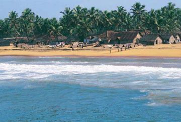 Heart-warming 8 Days Calicut Luxury Trip Package