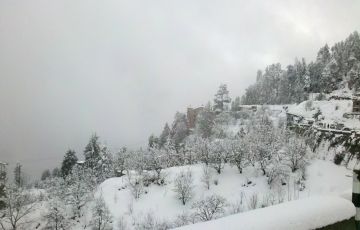 Family Getaway 4 Days 3 Nights Shimla and Kufri Holiday Package