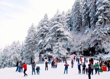 Pleasurable 4 Days Delhi to Shimla Trip Package