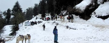 Heart-warming 10 Days Manali Trip Package