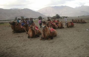 Family Getaway 12 Days 11 Nights Leh with Manali Holiday Package