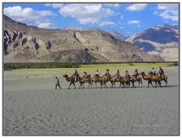 7 Days 6 Nights New Delhi to Pangong Lake Family Vacation Holiday Package