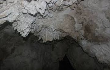 Heart-warming Port Blair Wildlife Tour Package for 6 Days 5 Nights from Andaman And Nicobar Islands, India