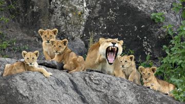 10 Days 9 Nights Lake Manyara, Ngorongoro, Olduvai Gorge and Makarot Hill Vacation Package