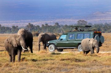 7 Days 6 Nights Nairobi to Maasai Mara Wildlife Holiday Package