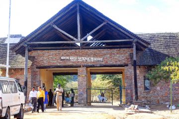 4 Days 3 Nights masai Mara game reserve and Lake Nakuru national park Vacation Package