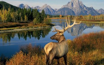 Ecstatic 3 Days Delhi to Nainital Holiday Package