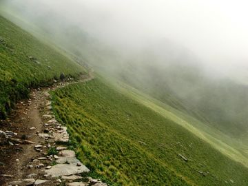 9 Days 8 Nights Kathgodam Wildlife Holiday Package