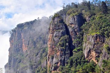6 Days Kodaikanal and Ooty Family Vacation Package