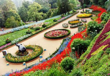 Ecstatic 7 Days 6 Nights Shimla Family Vacation Package
