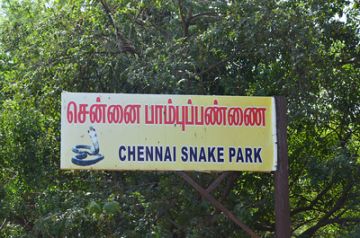 Magical 4 Days Tirupati Religious Tour Package