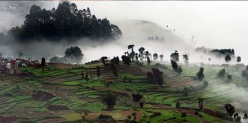 6 Days Kodaikanal and Ooty Family Vacation Package