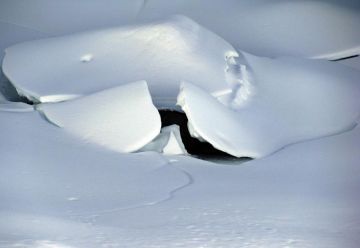 9 Days 8 Nights Kathgodam Wildlife Holiday Package